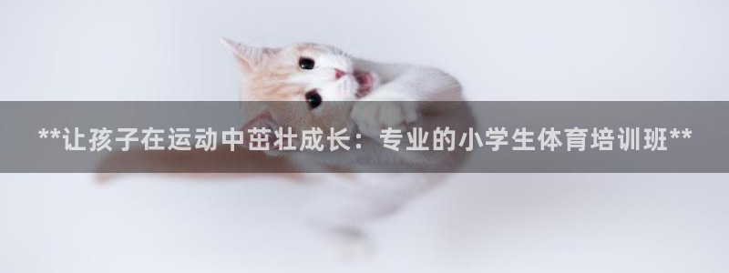 欧陆娱乐测试官网：**让孩子在运动中茁壮成长：专业的